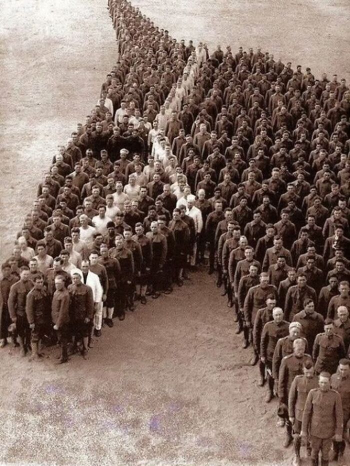 97 Fascinating Historical Photos That Might Change Your Perspective On Pets