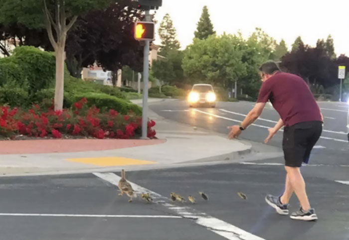 &#8220;Photos Taken Before Disaster&#8221;: 35 Pictures That Foreshadow Unfortunate Events