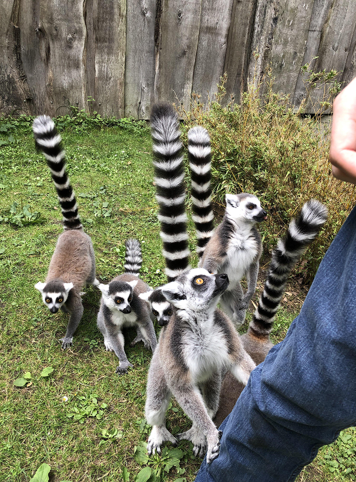 27 Unfiltered Fun Facts About Animals Being Total Weirdos