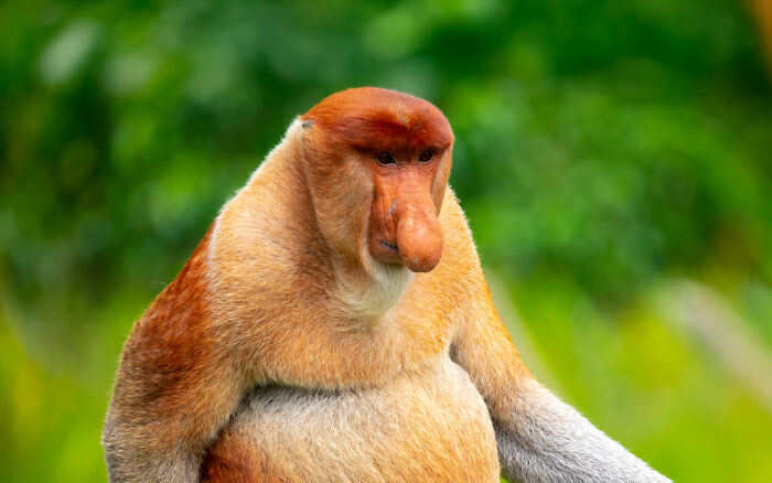 27 Unfiltered Fun Facts About Animals Being Total Weirdos