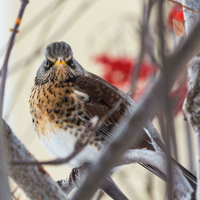 27 Unfiltered Fun Facts About Animals Being Total Weirdos
