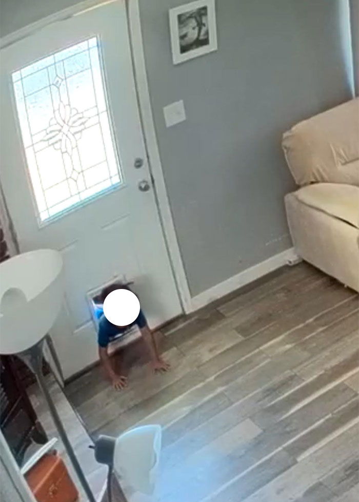 Kid Wants To Play With Neighbor’s Dogs So Much He Crawls Through The Dog Door, The Owner Is Horrified