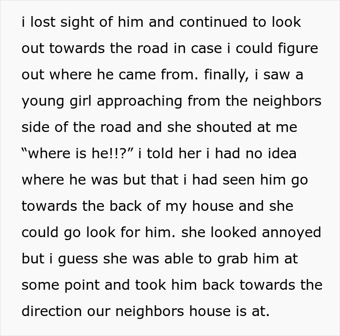 Kid Wants To Play With Neighbor’s Dogs So Much He Crawls Through The Dog Door, The Owner Is Horrified