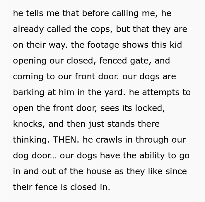 Kid Wants To Play With Neighbor’s Dogs So Much He Crawls Through The Dog Door, The Owner Is Horrified