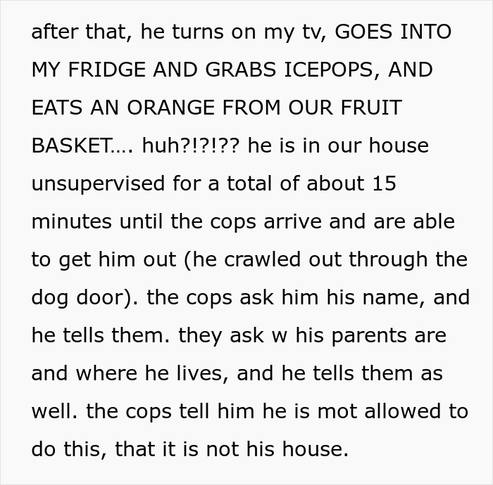 Kid Wants To Play With Neighbor’s Dogs So Much He Crawls Through The Dog Door, The Owner Is Horrified