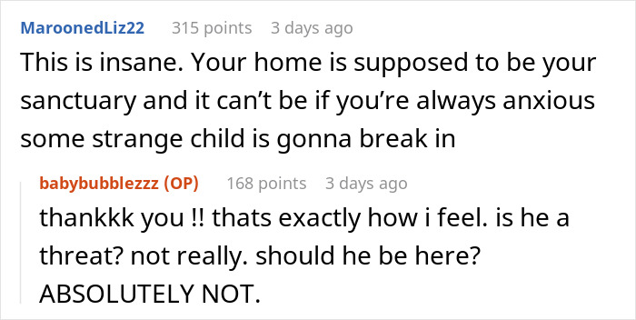 Kid Wants To Play With Neighbor’s Dogs So Much He Crawls Through The Dog Door, The Owner Is Horrified