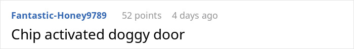 Kid Wants To Play With Neighbor’s Dogs So Much He Crawls Through The Dog Door, The Owner Is Horrified