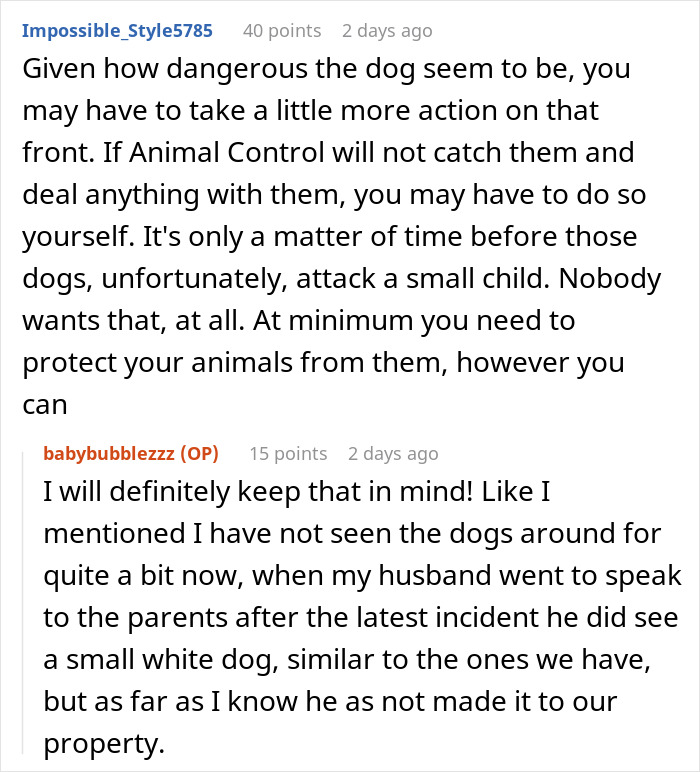 Kid Wants To Play With Neighbor’s Dogs So Much He Crawls Through The Dog Door, The Owner Is Horrified