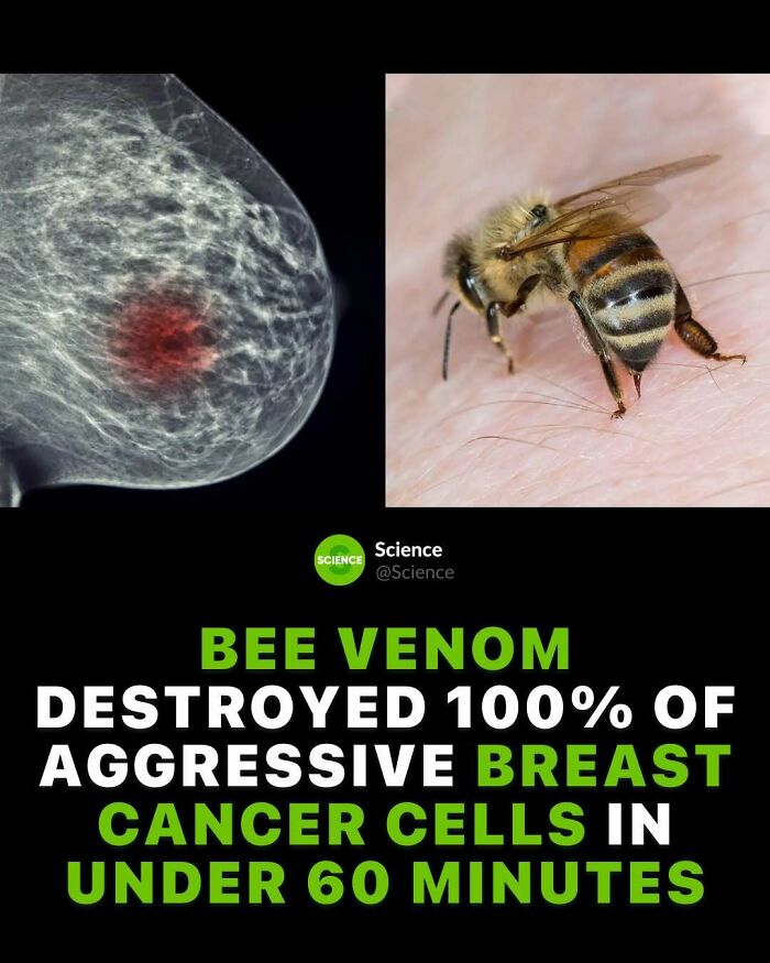 80 Awesome Facts For Those Who Want To Learn Something New
