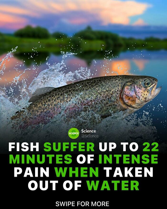 80 Awesome Facts For Those Who Want To Learn Something New