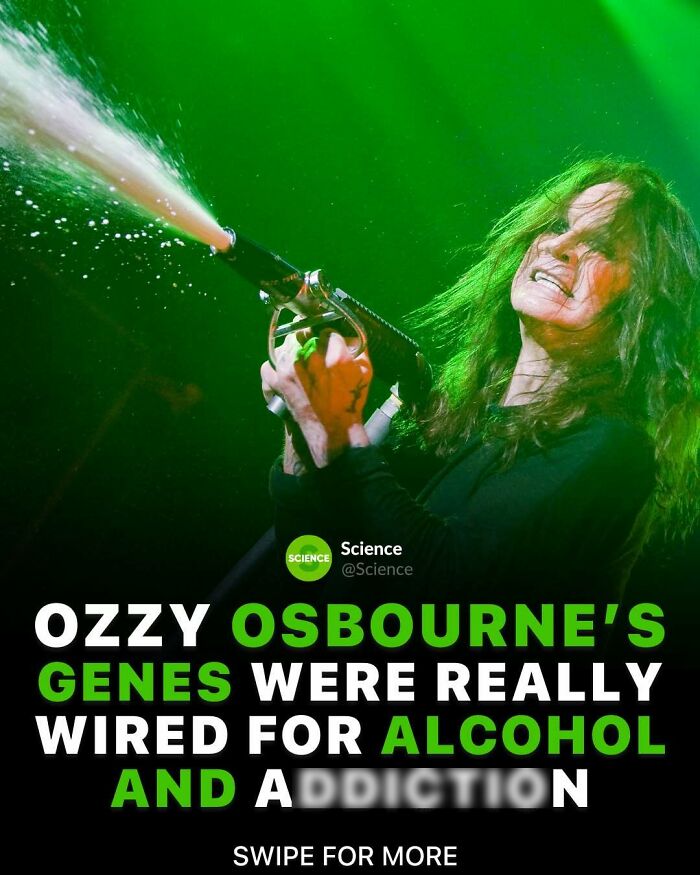 80 Awesome Facts For Those Who Want To Learn Something New