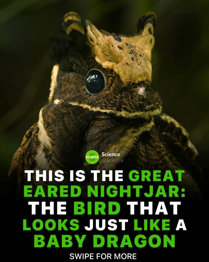 80 Awesome Facts For Those Who Want To Learn Something New