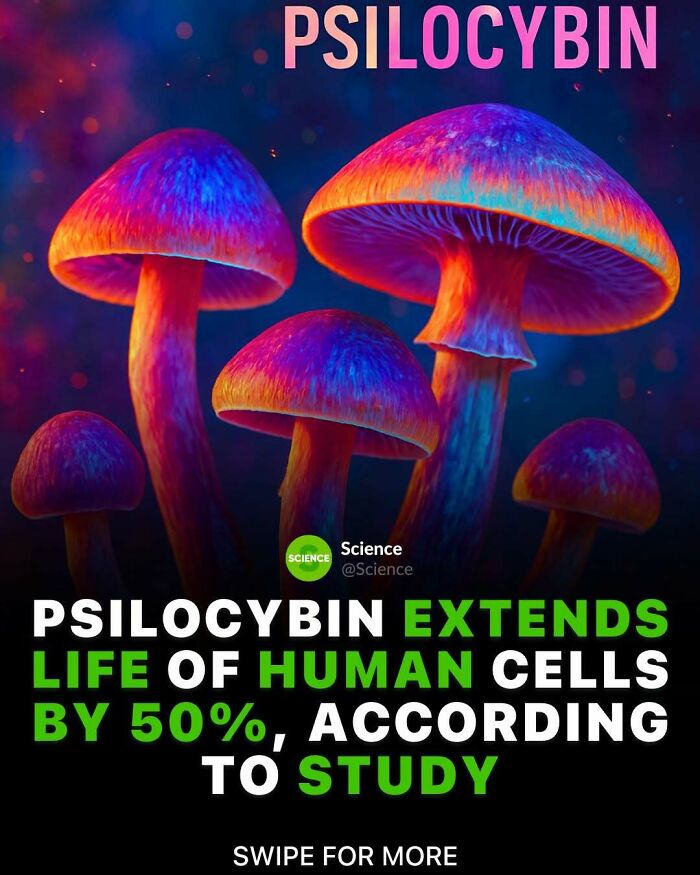 80 Awesome Facts For Those Who Want To Learn Something New