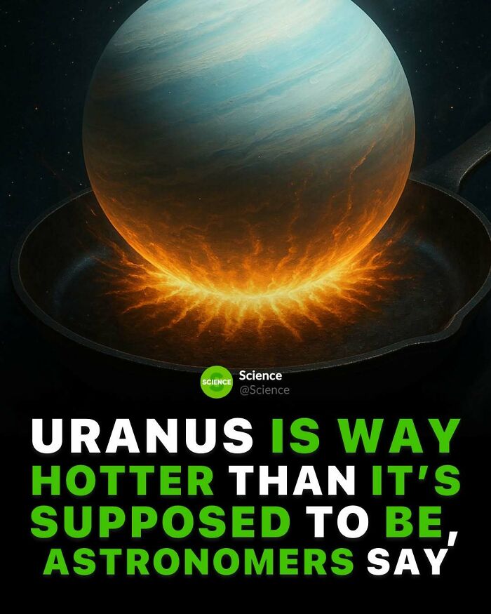 80 Awesome Facts For Those Who Want To Learn Something New