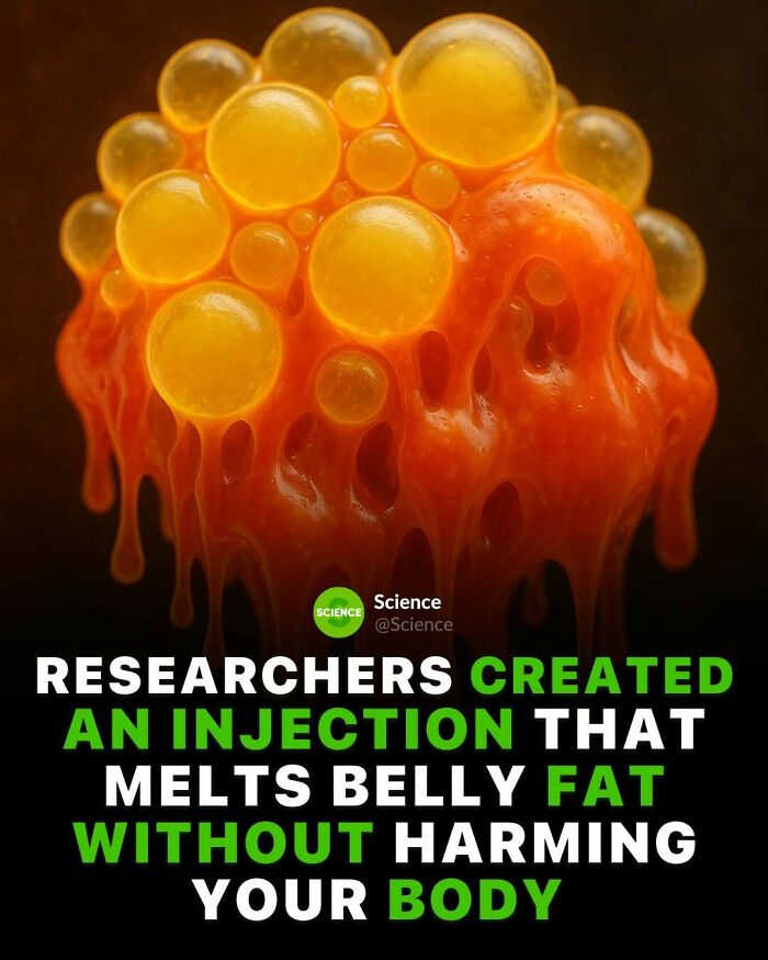 80 Awesome Facts For Those Who Want To Learn Something New