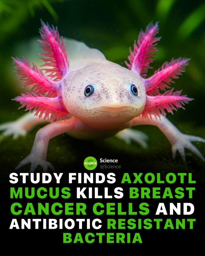 80 Awesome Facts For Those Who Want To Learn Something New