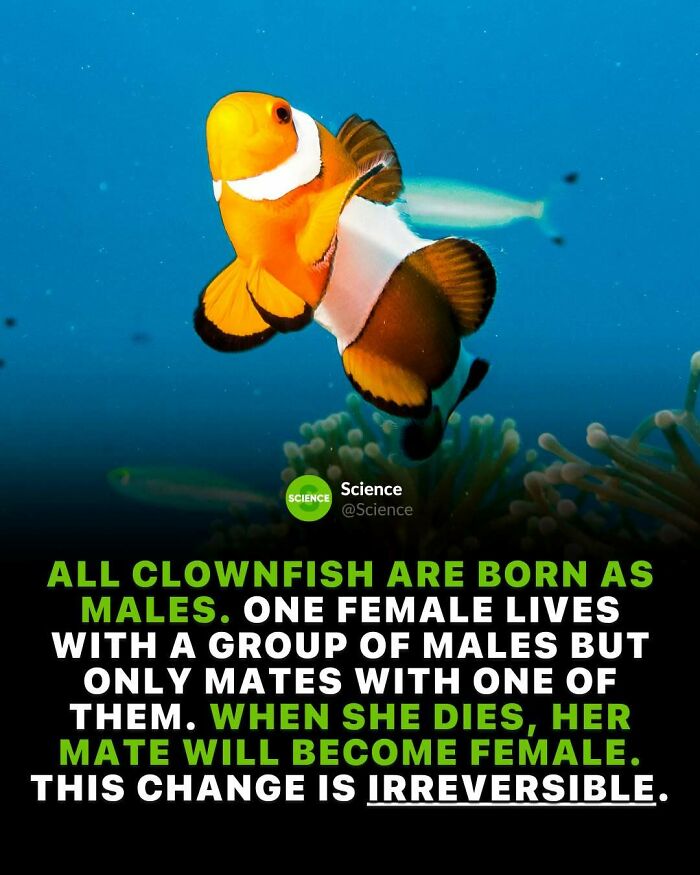 80 Awesome Facts For Those Who Want To Learn Something New