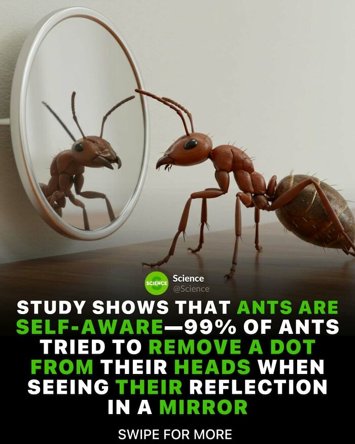 80 Awesome Facts For Those Who Want To Learn Something New