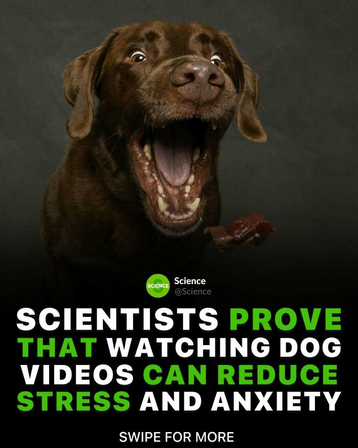 80 Awesome Facts For Those Who Want To Learn Something New