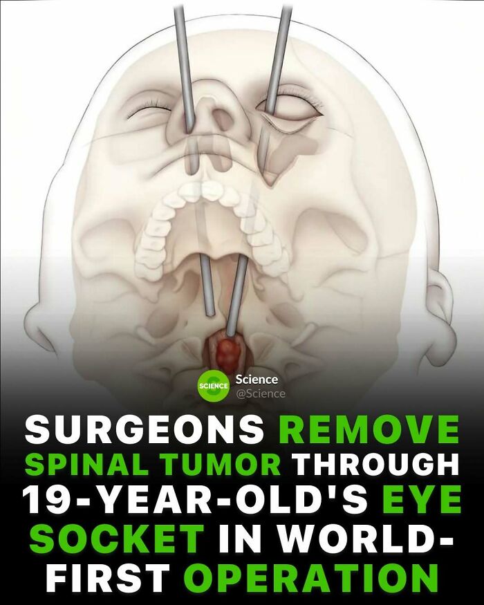 80 Awesome Facts For Those Who Want To Learn Something New