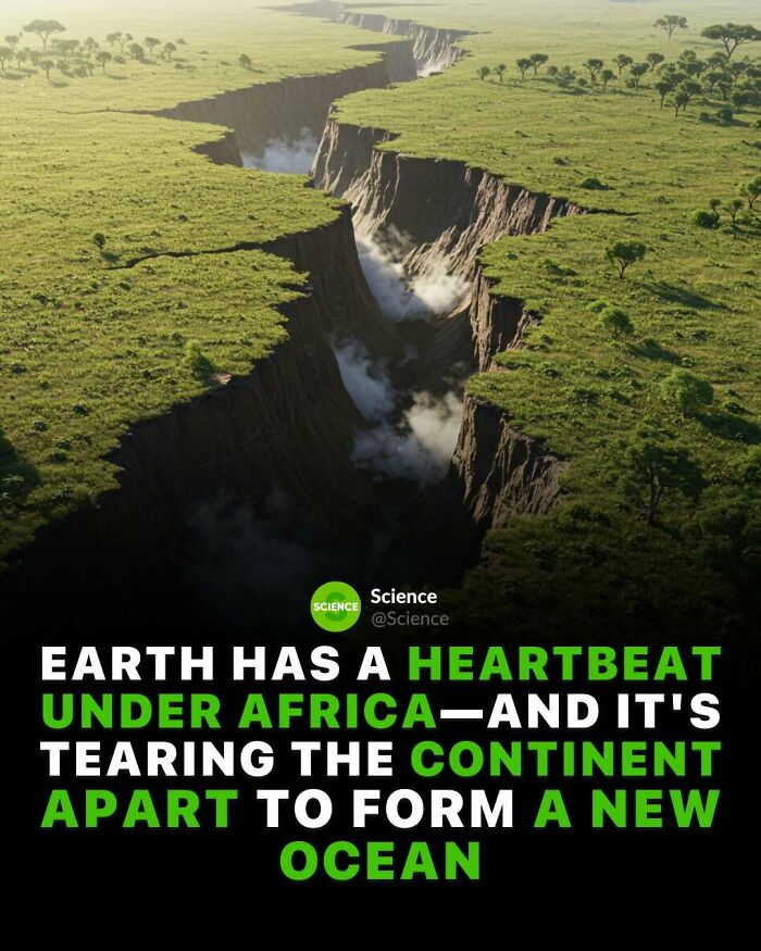 80 Awesome Facts For Those Who Want To Learn Something New