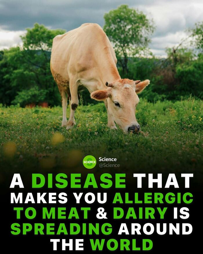 80 Awesome Facts For Those Who Want To Learn Something New