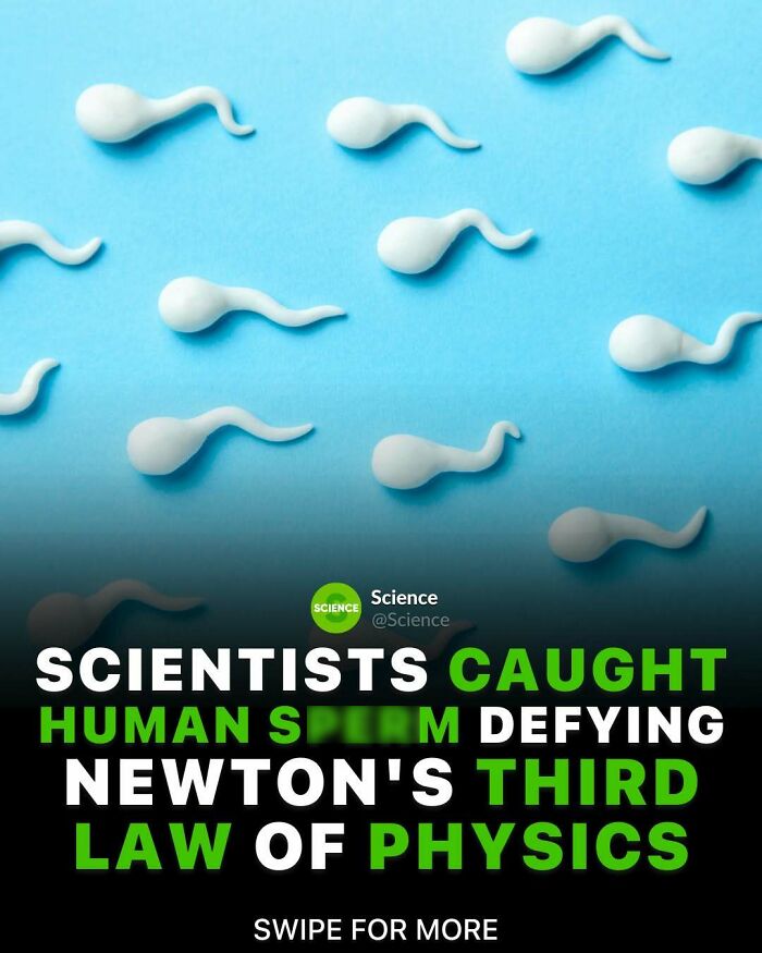 80 Awesome Facts For Those Who Want To Learn Something New