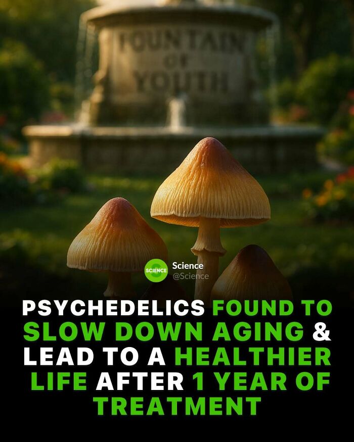 80 Awesome Facts For Those Who Want To Learn Something New