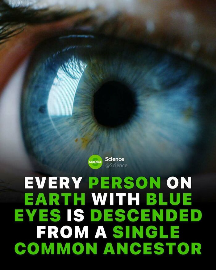 80 Awesome Facts For Those Who Want To Learn Something New