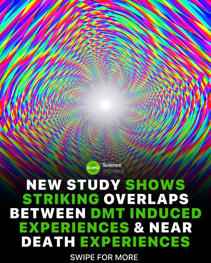 80 Awesome Facts For Those Who Want To Learn Something New