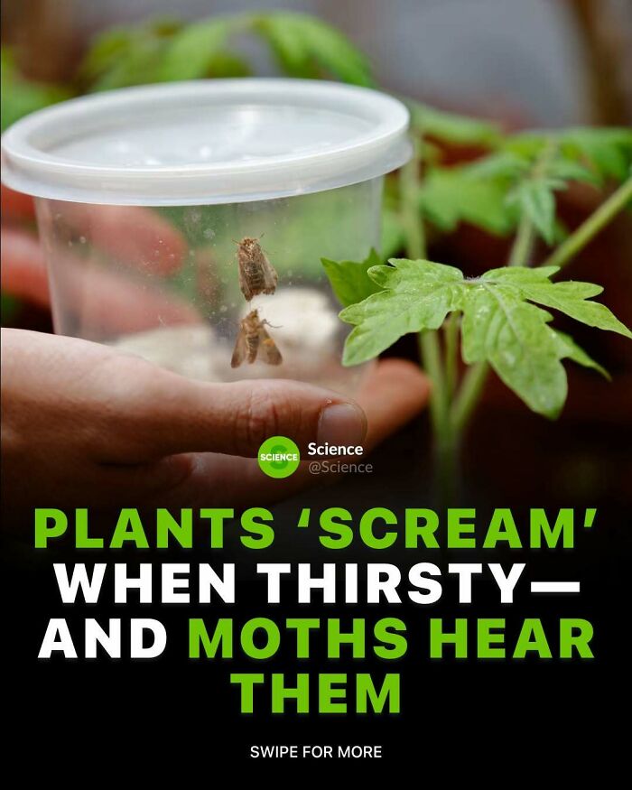 80 Awesome Facts For Those Who Want To Learn Something New