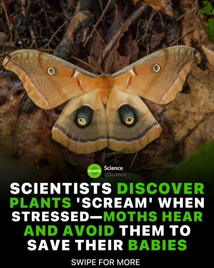 80 Awesome Facts For Those Who Want To Learn Something New