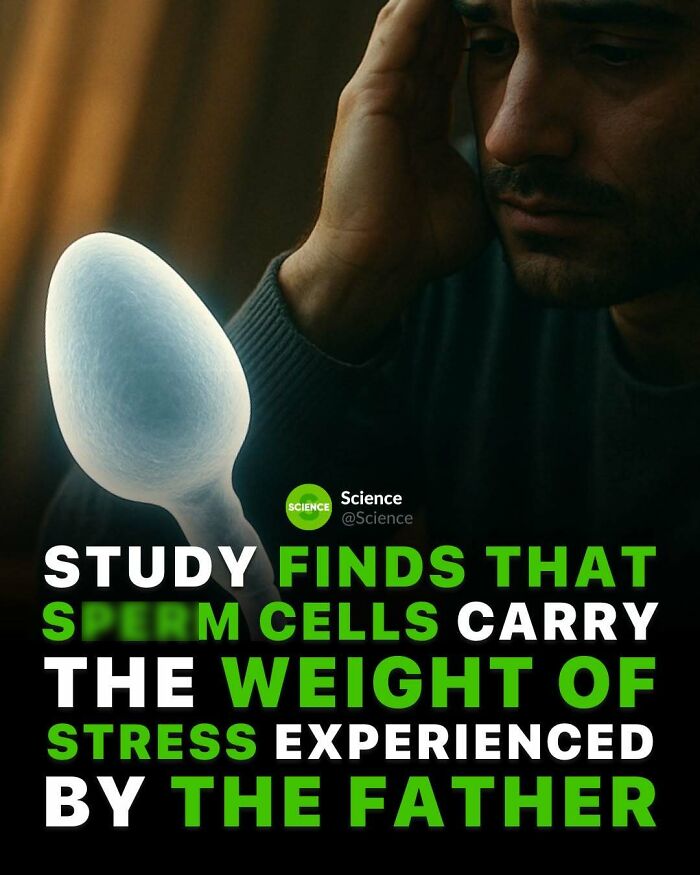 80 Awesome Facts For Those Who Want To Learn Something New