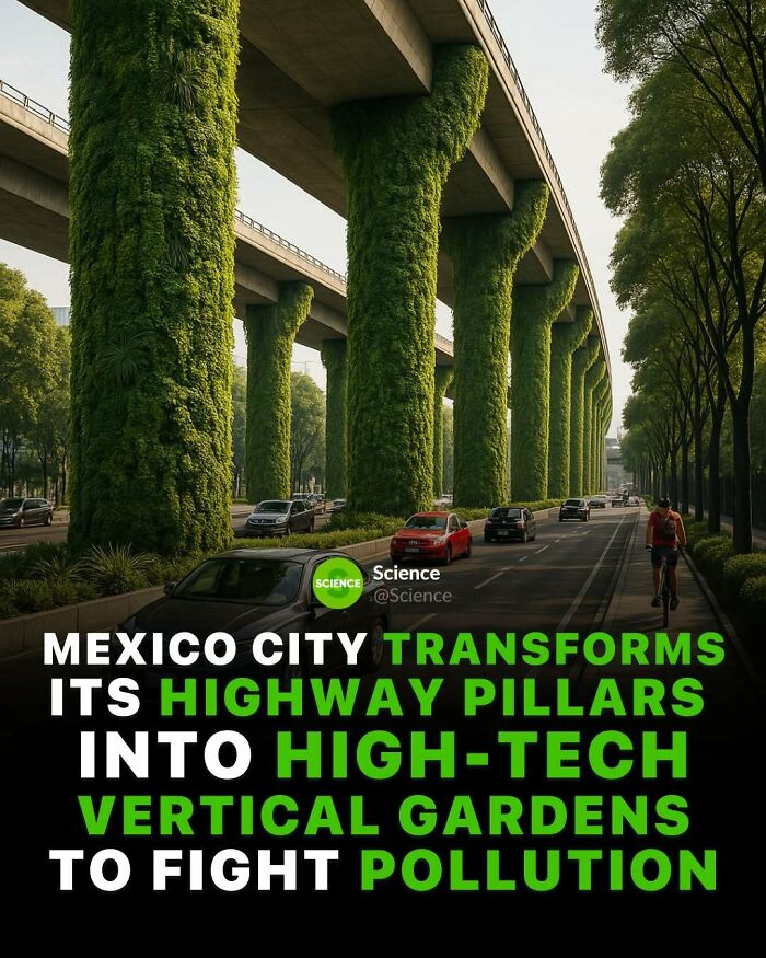80 Awesome Facts For Those Who Want To Learn Something New