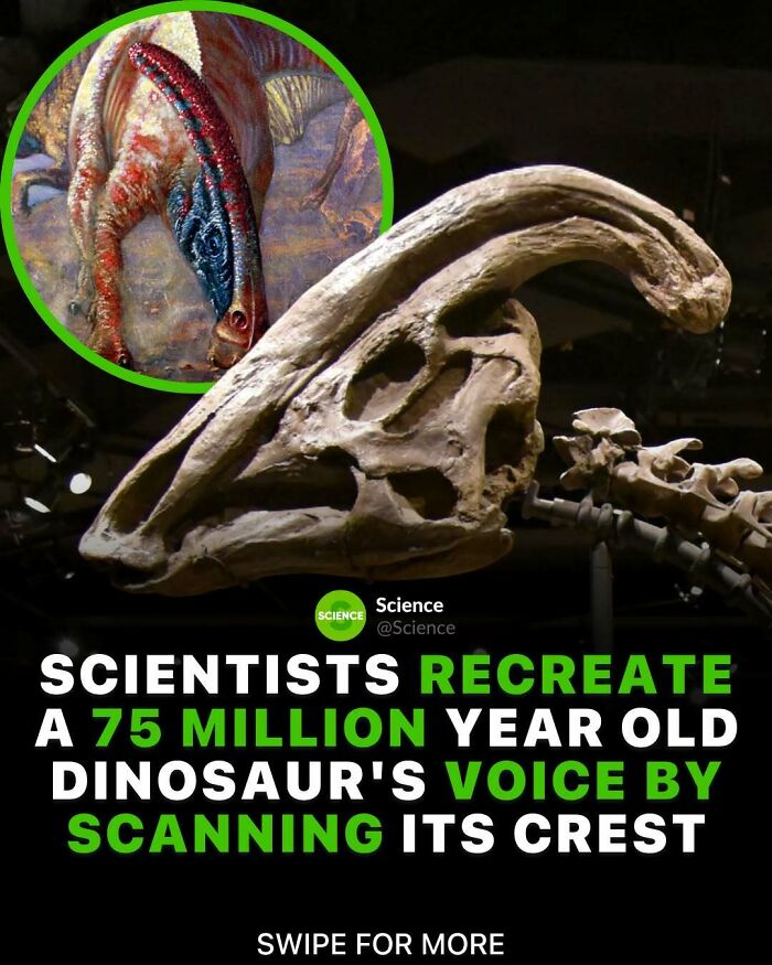 80 Awesome Facts For Those Who Want To Learn Something New