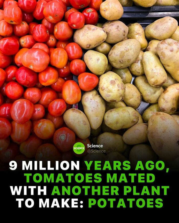 80 Awesome Facts For Those Who Want To Learn Something New