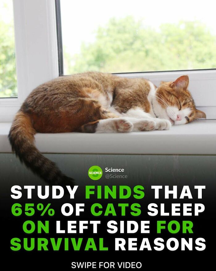 80 Awesome Facts For Those Who Want To Learn Something New
