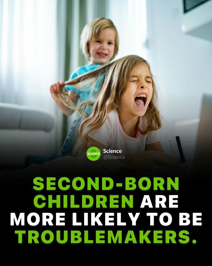 80 Awesome Facts For Those Who Want To Learn Something New