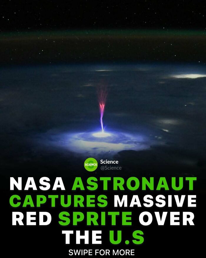 80 Awesome Facts For Those Who Want To Learn Something New