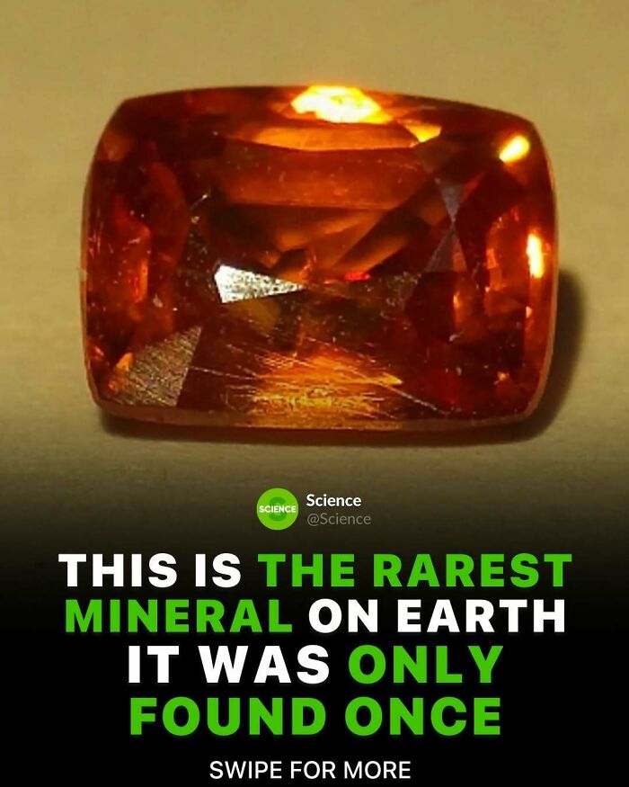 80 Awesome Facts For Those Who Want To Learn Something New
