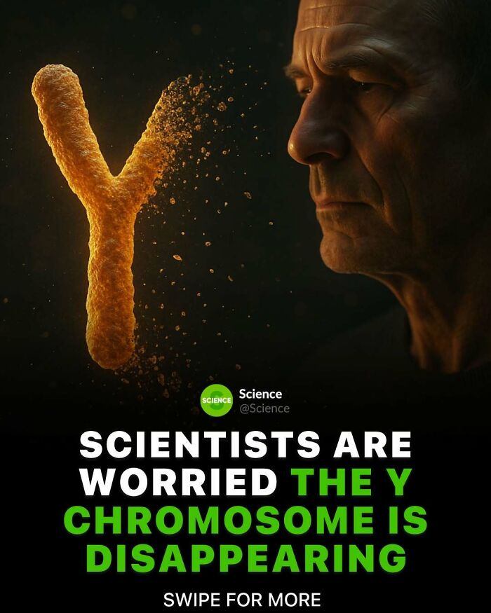 80 Awesome Facts For Those Who Want To Learn Something New