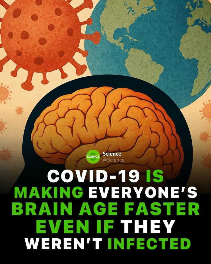 80 Awesome Facts For Those Who Want To Learn Something New