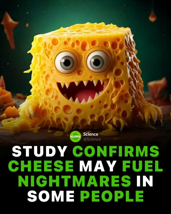 80 Awesome Facts For Those Who Want To Learn Something New