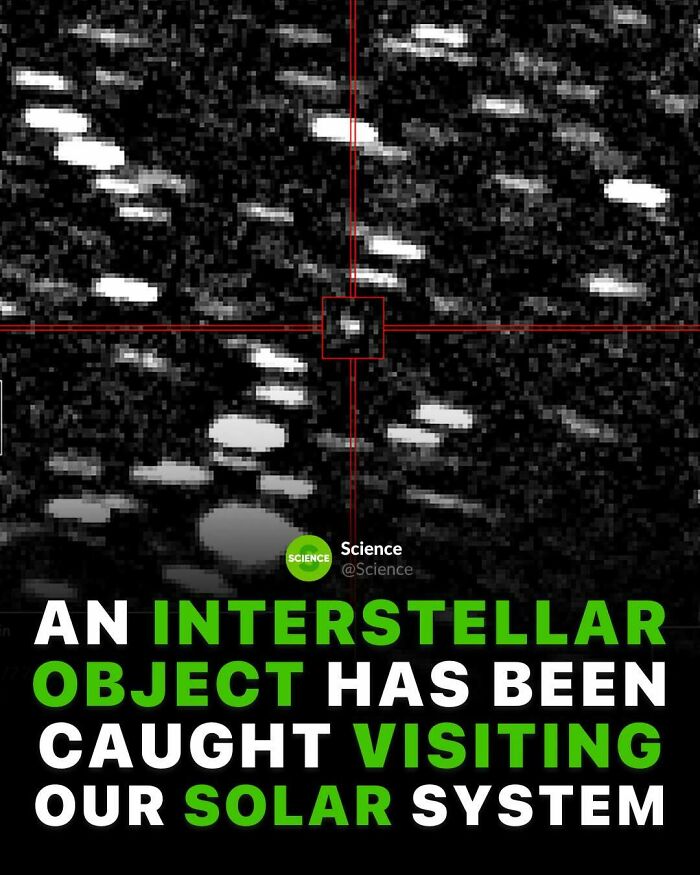 80 Awesome Facts For Those Who Want To Learn Something New