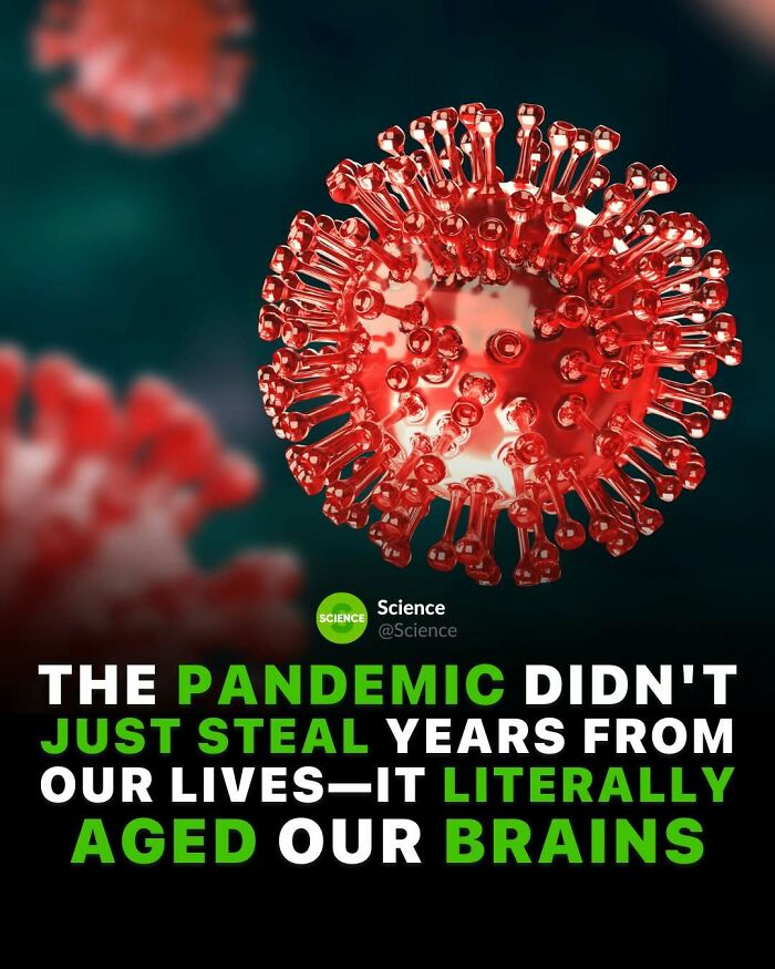 80 Awesome Facts For Those Who Want To Learn Something New