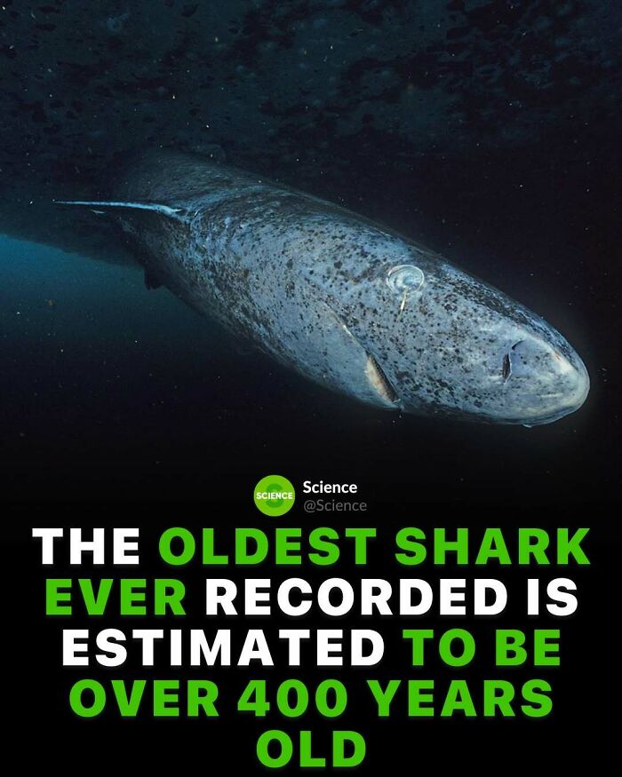 80 Awesome Facts For Those Who Want To Learn Something New