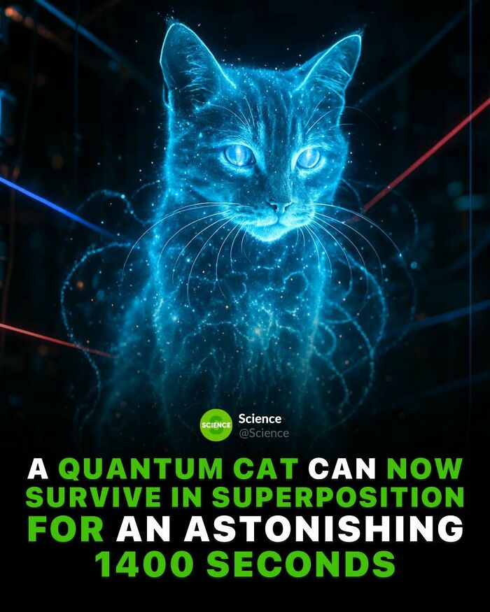 80 Awesome Facts For Those Who Want To Learn Something New