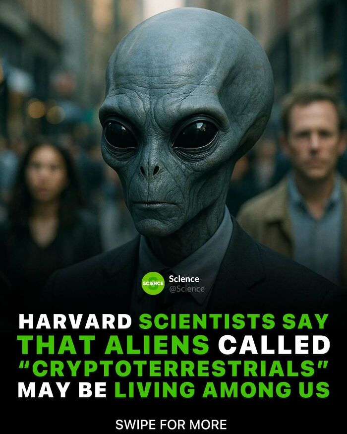 80 Awesome Facts For Those Who Want To Learn Something New
