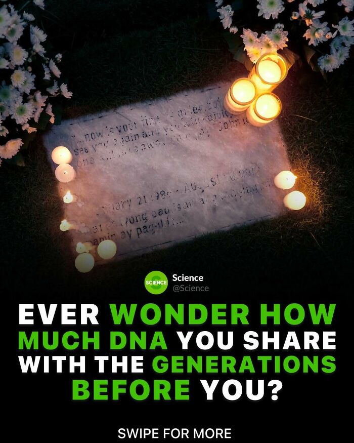 80 Awesome Facts For Those Who Want To Learn Something New