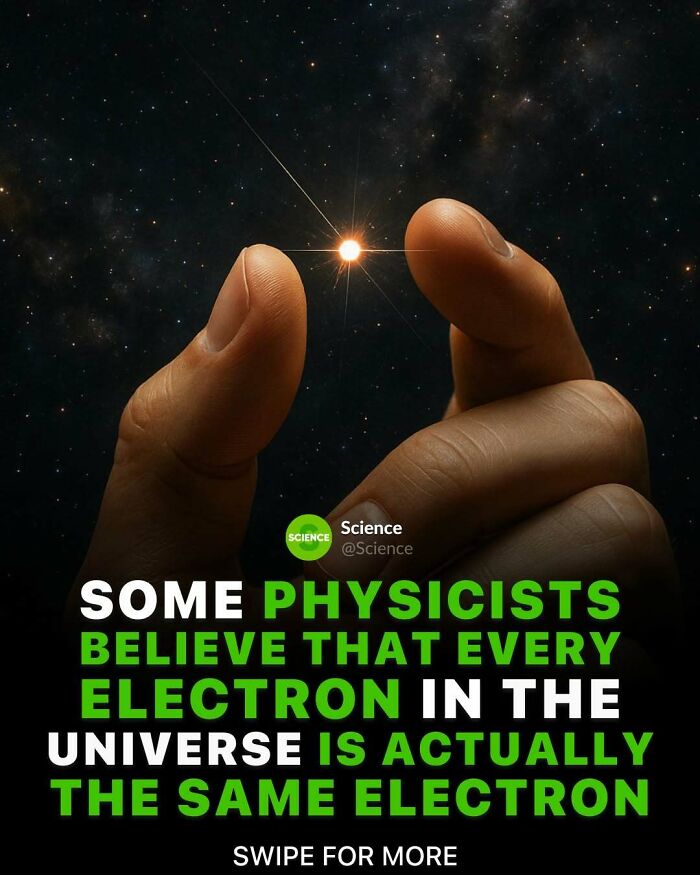 80 Awesome Facts For Those Who Want To Learn Something New
